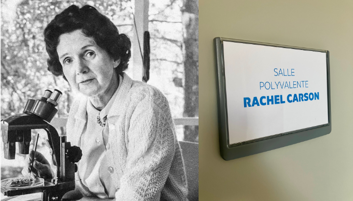 La LPO Bretagne rend hommage à Rachel Carson
